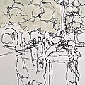 The Canopy