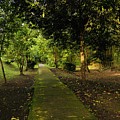 The Green Walkway